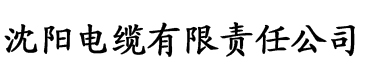 橙子视频黄版本电缆厂logo